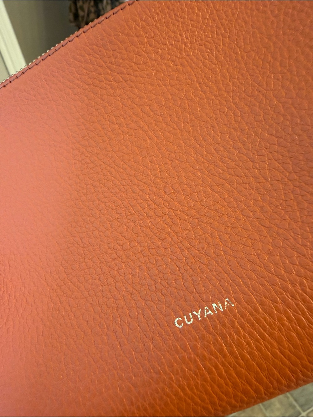 Cuyana Pebbled Leather Zip Pouch — Burnt Orange - Picture 2 of 4